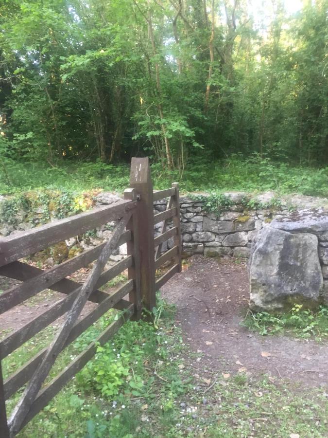 Sallys Cabin Kilcolgan Exterior foto